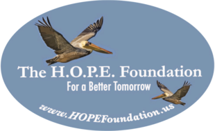 The H.O.P.E Foundation